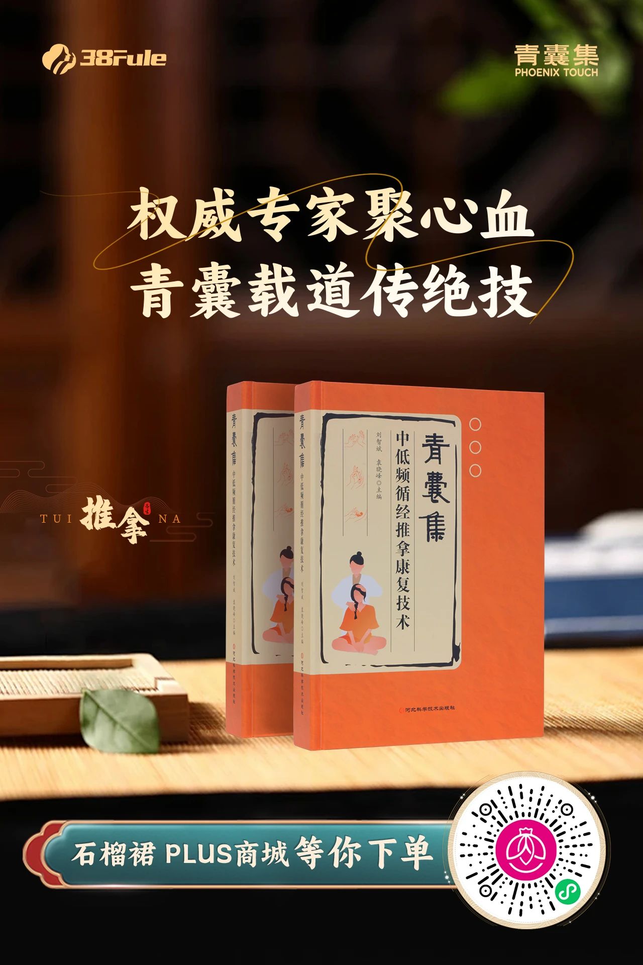 好书如宝藏！《青囊集中低频循经推拿康复技术》正在热销中～